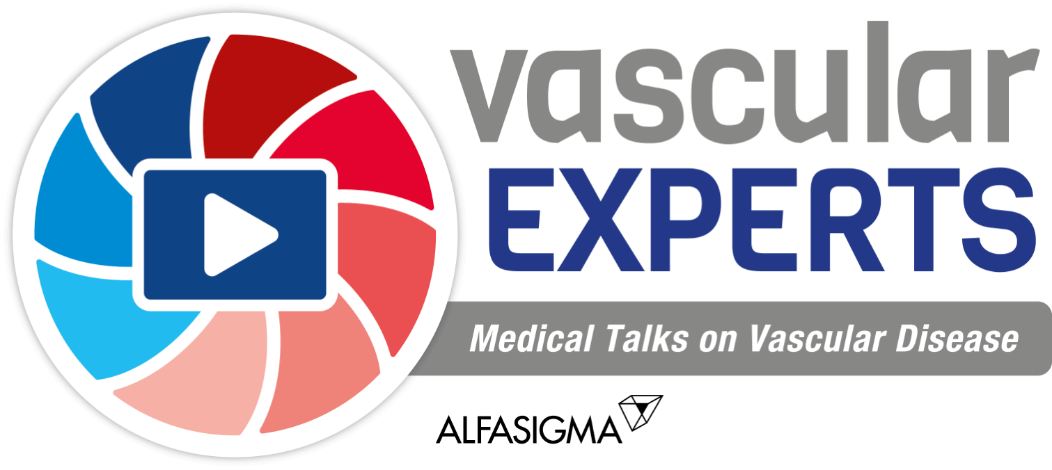 Vascular experts logo